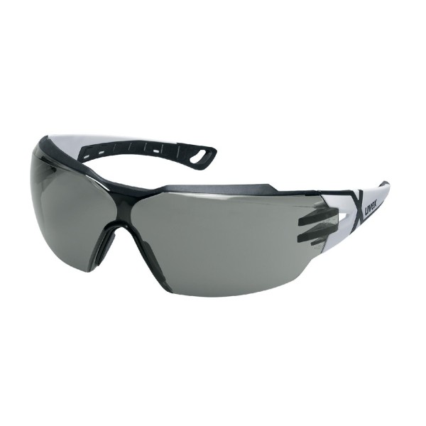 Schutzbrille uvex pheos cx2 9198239